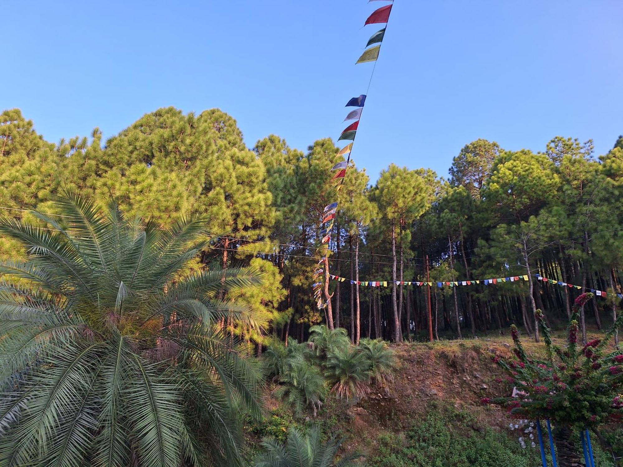 Tathastu Bir -Homestay ,Dorm,Hostel 외부 사진