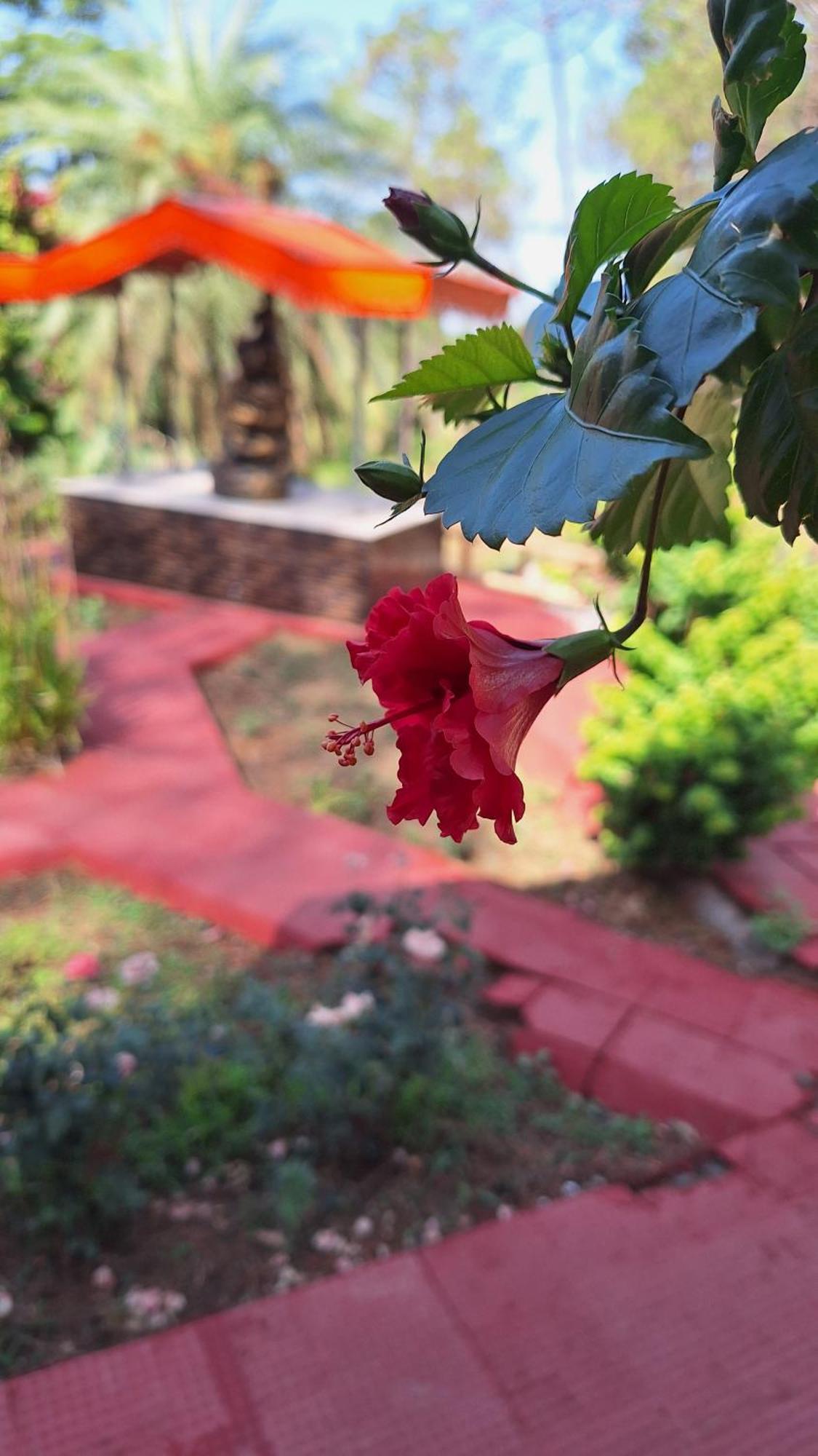 Tathastu Bir -Homestay ,Dorm,Hostel 외부 사진