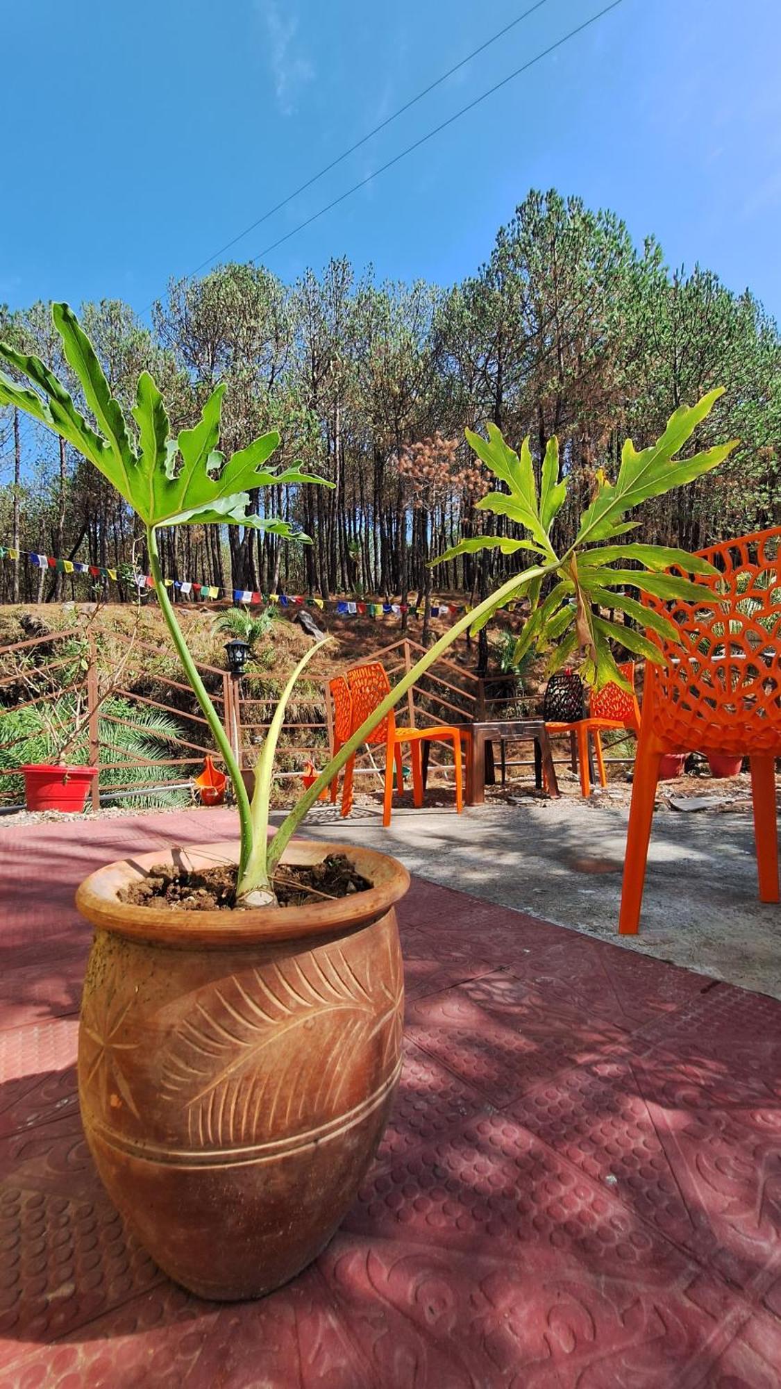 Tathastu Bir -Homestay ,Dorm,Hostel 외부 사진