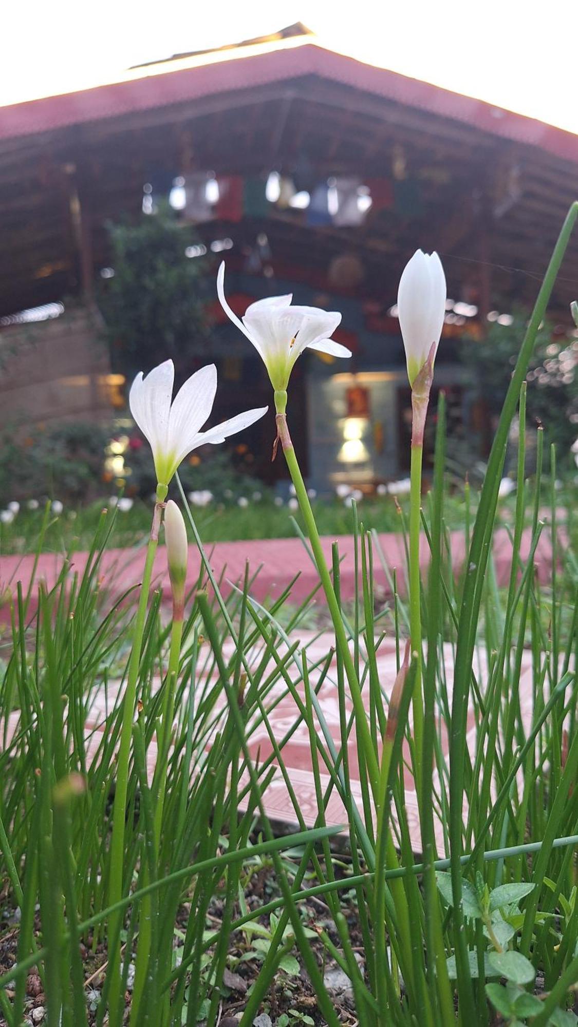 Tathastu Bir -Homestay ,Dorm,Hostel 외부 사진