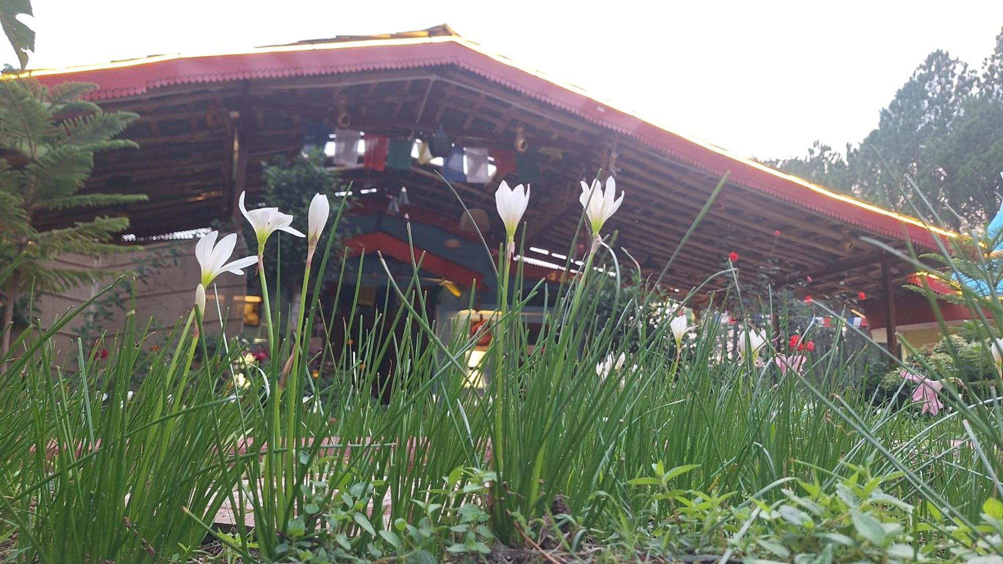 Tathastu Bir -Homestay ,Dorm,Hostel 외부 사진