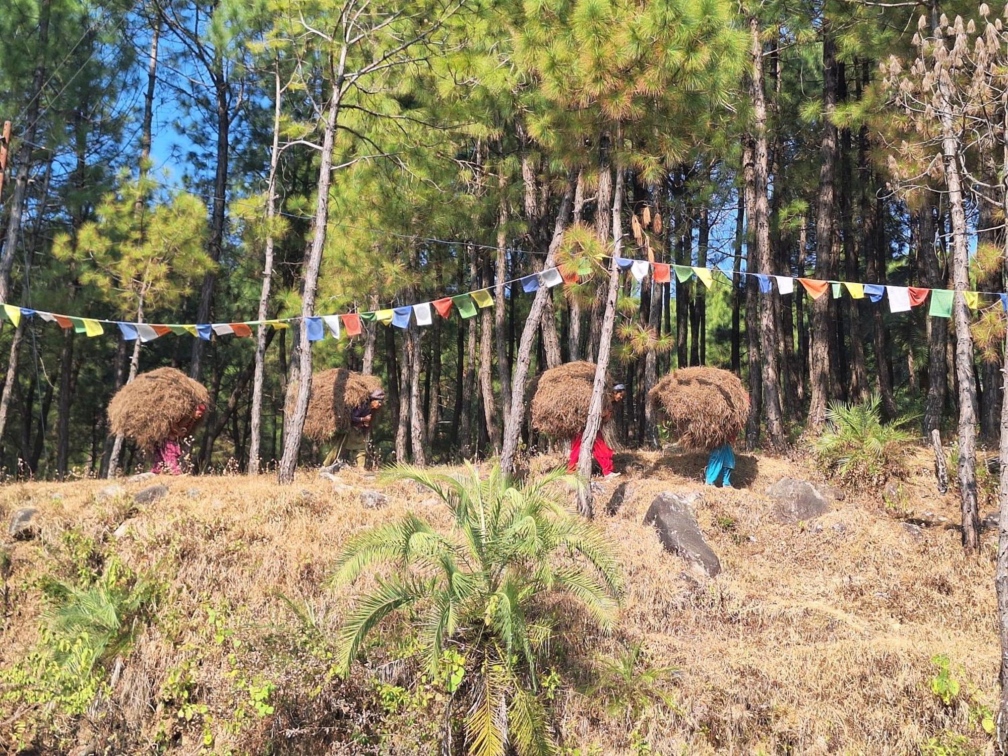 Tathastu Bir -Homestay ,Dorm,Hostel 외부 사진